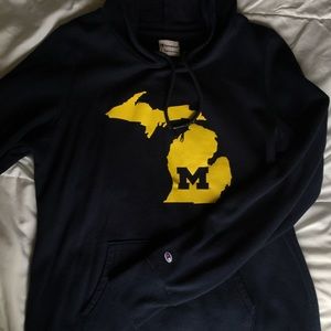 Champion Michigan Sweater